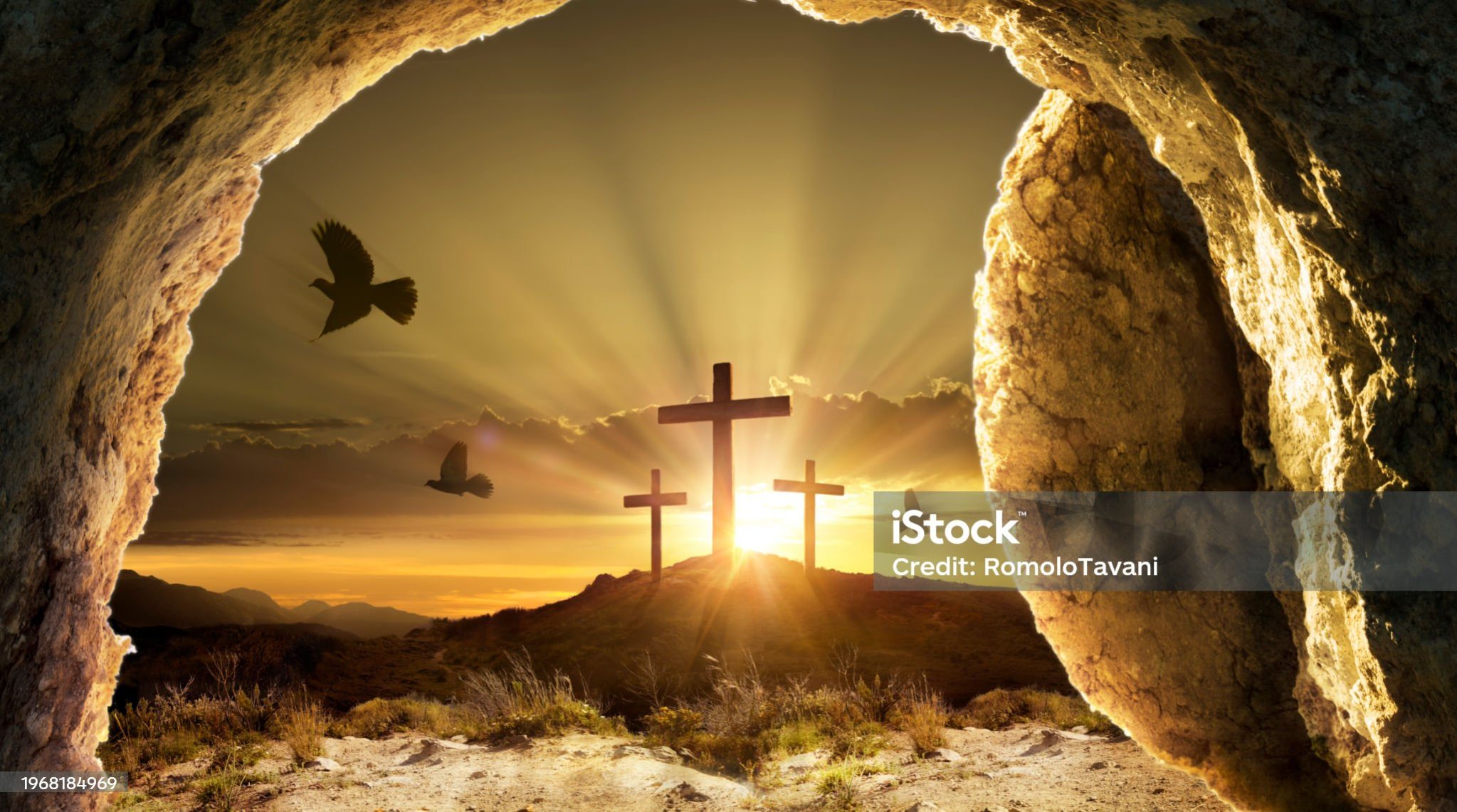istockphoto-1968184969-2048x2048.jpg
